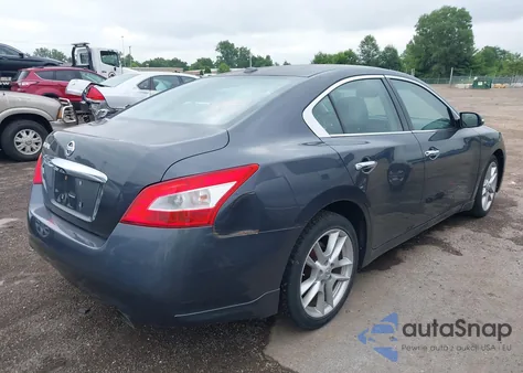 2010 Nissan Maxima 3.5 Sv z USA, uszkodzony, nr VIN 1N4AA5AP3AC855145